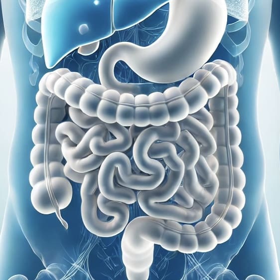 image2 (b1a30094-2182-48c1-bee6-f6b117452969)